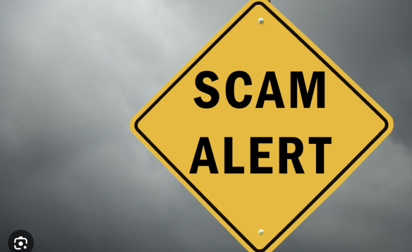 Royalswisschain.com Exposed
